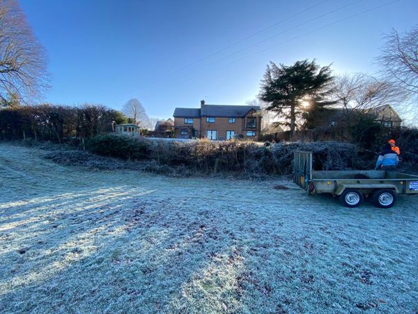 Start of the job: overgrown hedge bank and trailer on a frosty morning