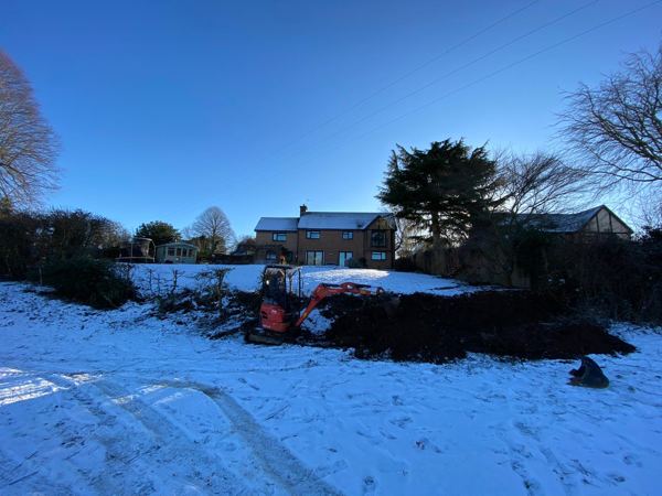Mini digger clearing the old hedge bank after snowfall