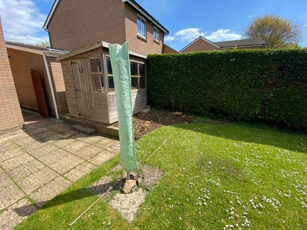 Before: the side lawn, shed and conifer hedge next to the old patio