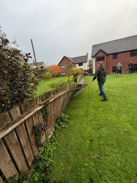Storm damage: a section of garden fence pushed over by the wind and leaning across the lawn