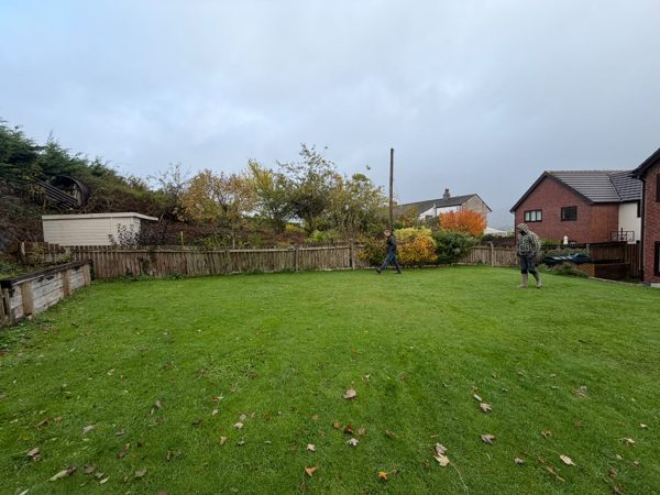 Before: the older boundary fence along the back of the garden, tired and bowing