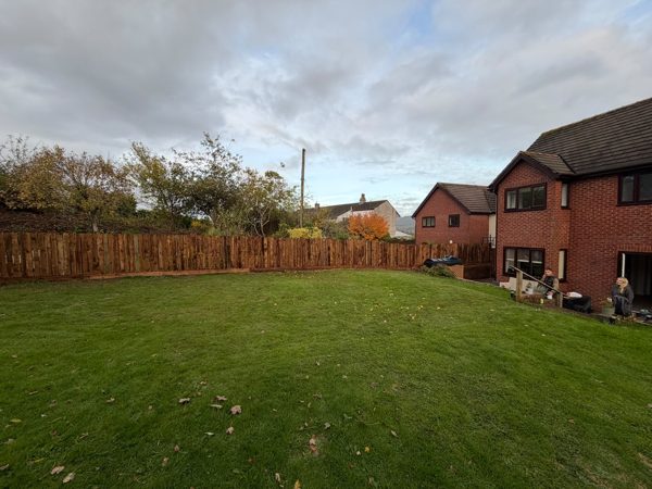 After: the new fence running along the back boundary of the garden