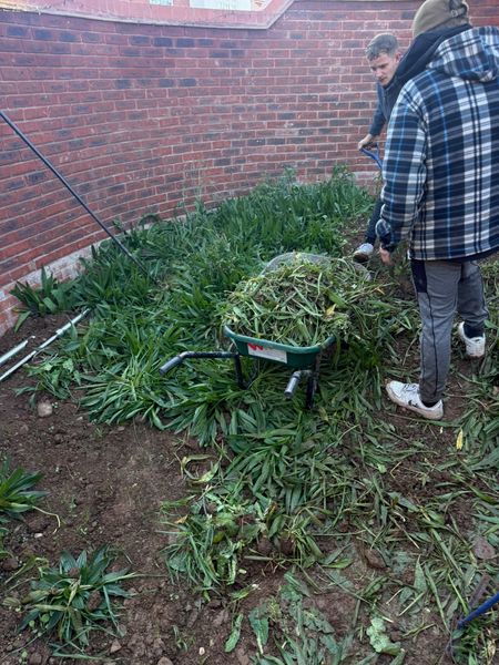 Clearing coarse growth from a garden bed beside a brick wall, with a wheelbarrow of cuttings