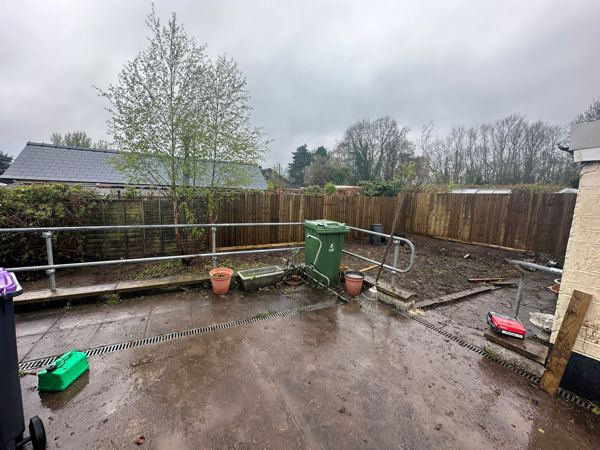 After: the garden cleared to soil, with the birch kept and fences visible