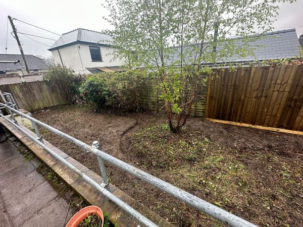 The cleared ground below the handrail, with the young birch left standing