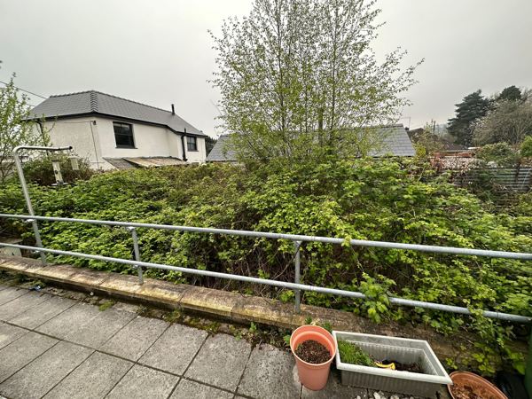 Before: brambles and shrubs grown right up to the galvanised handrail