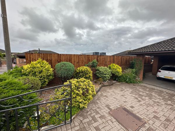 Matching close-board fence behind a front bed of evergreen shrubs and gravel