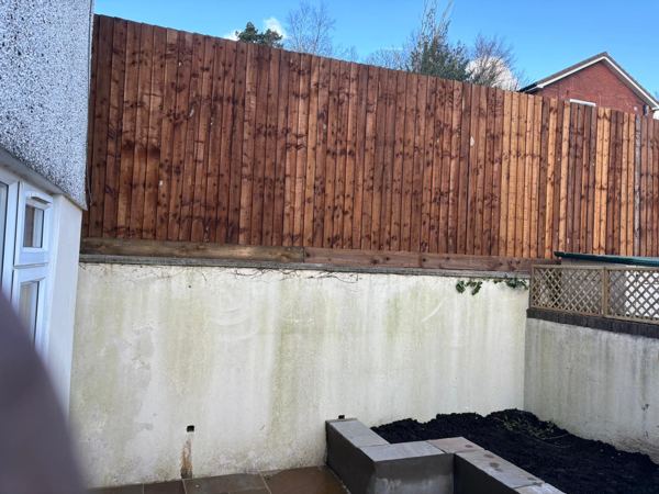 The rendered retaining wall and block raised bed in the back yard