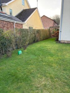 tree and hedge maintenance pontypool